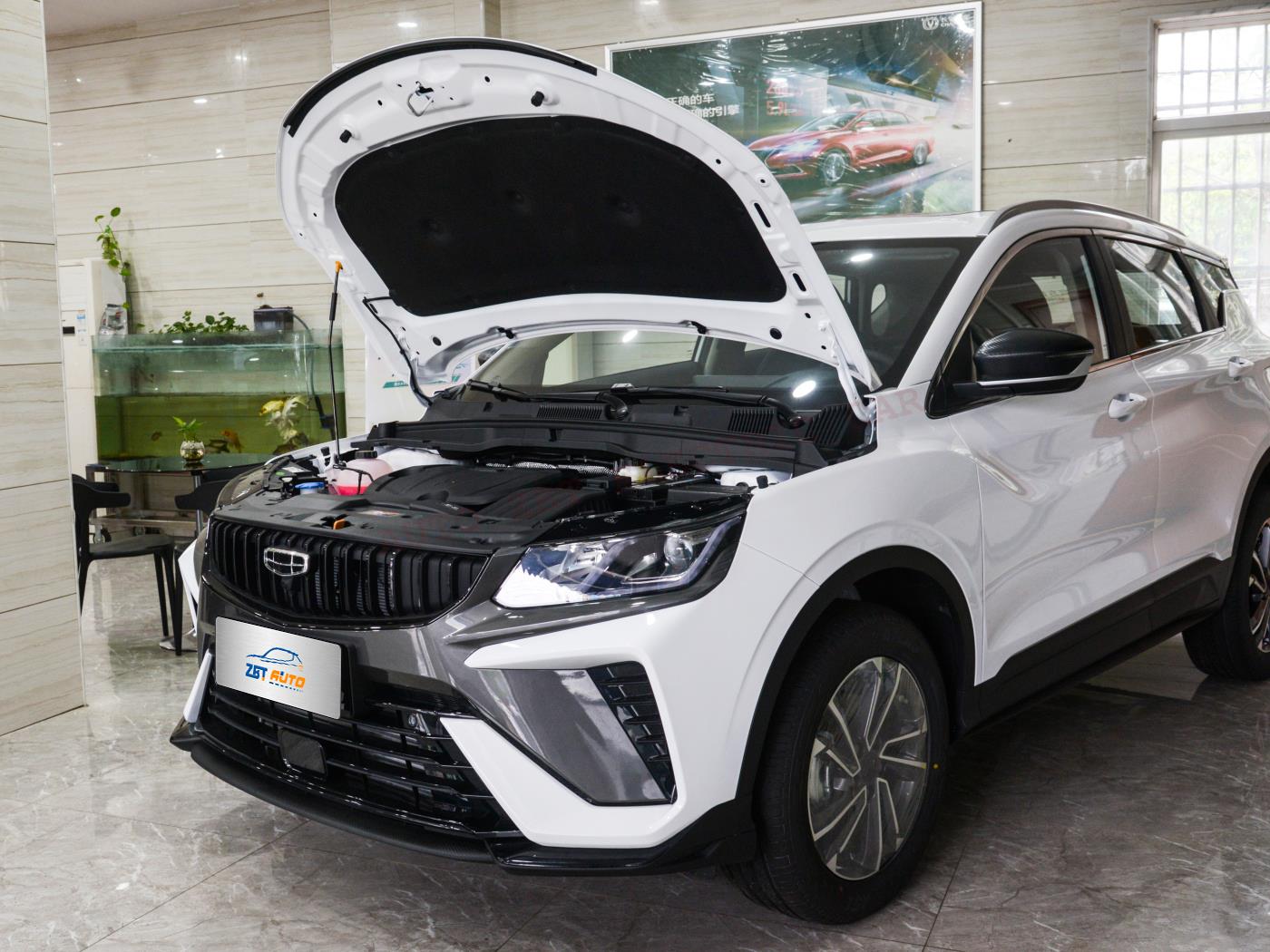 Coolray БинЮэ X73