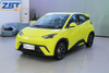 Электрический миникар Byd Seagull