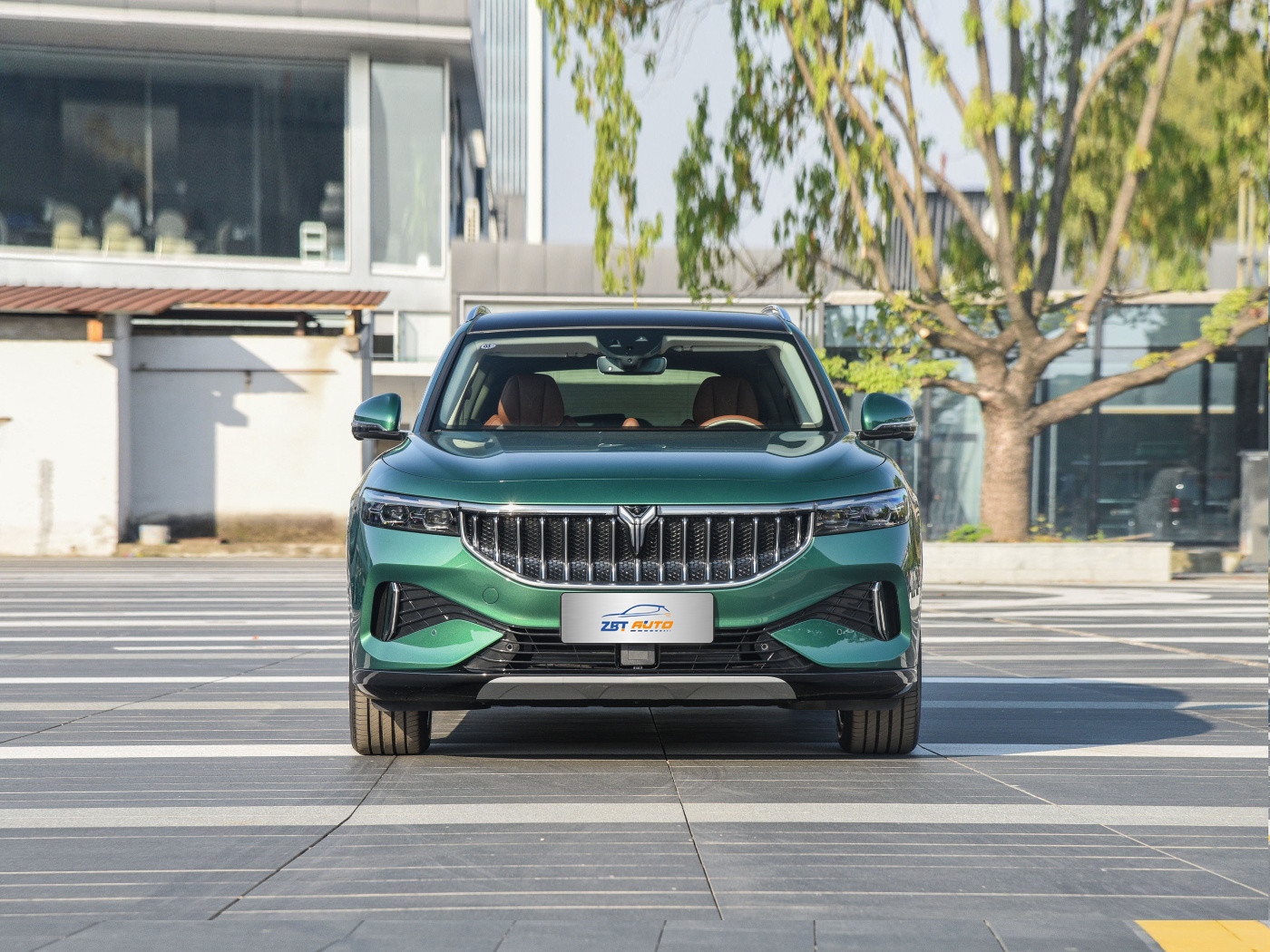 воя бесплатно GS09