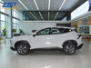 Бензиновый внедорожник Chery Jetour Dasheng