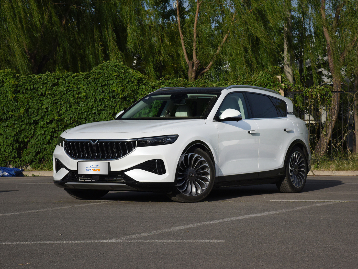 воя бесплатно W01