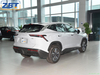 Бензиновый внедорожник Chery Jetour Dasheng