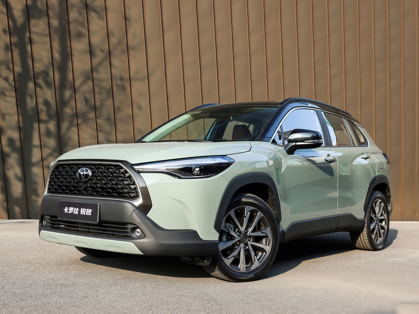 Королла Руифанг GS11