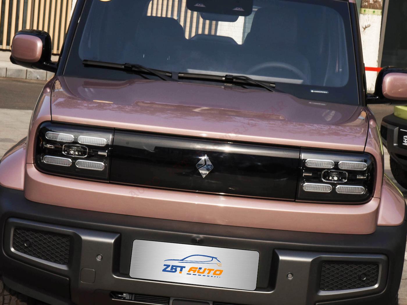 Баоцзюнь да X100