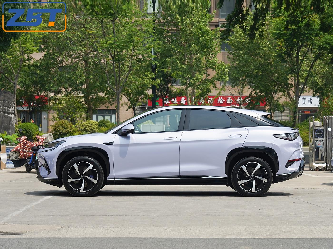 Морской лев 07 P04