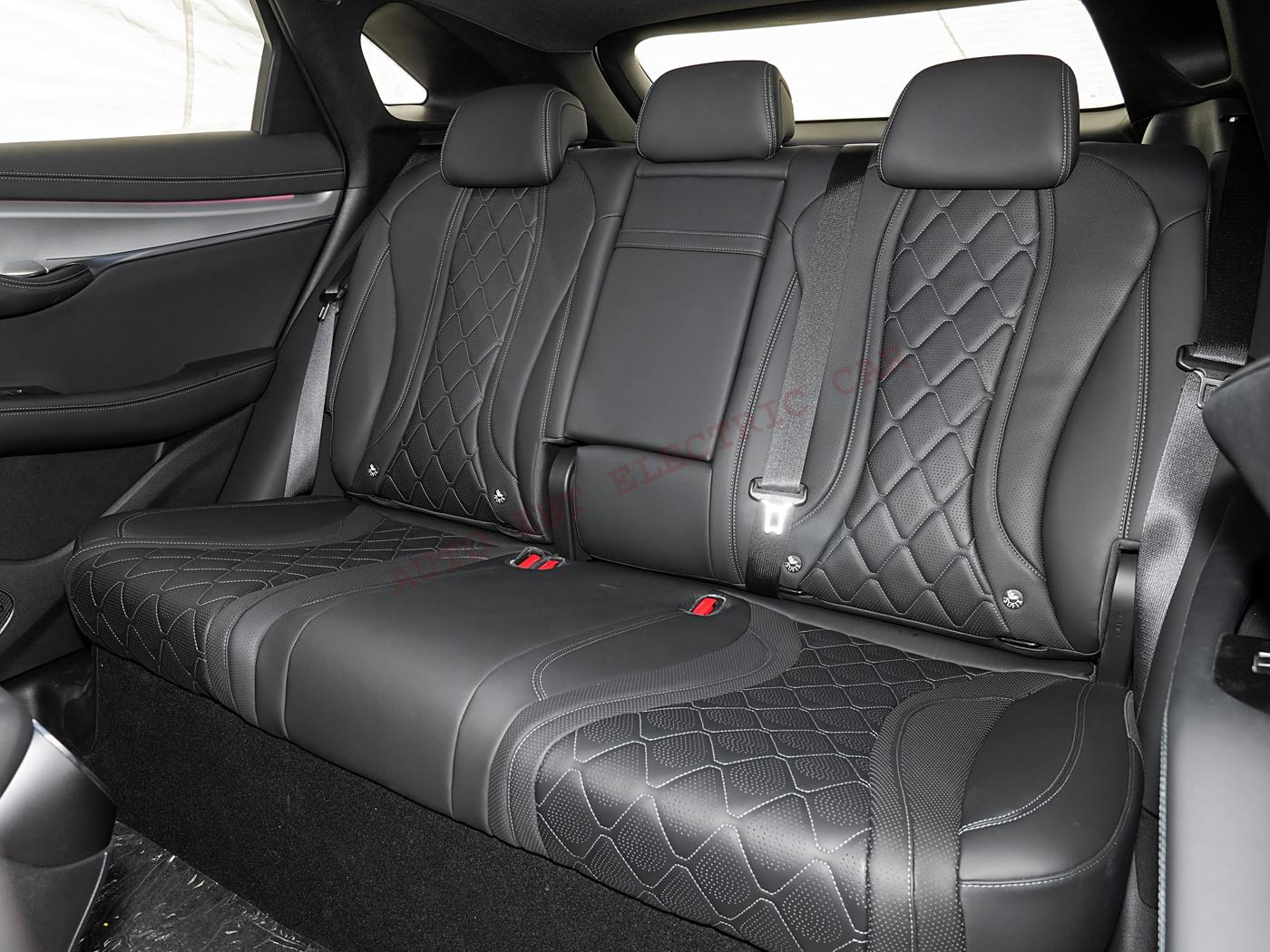 Морской лев 07 X19