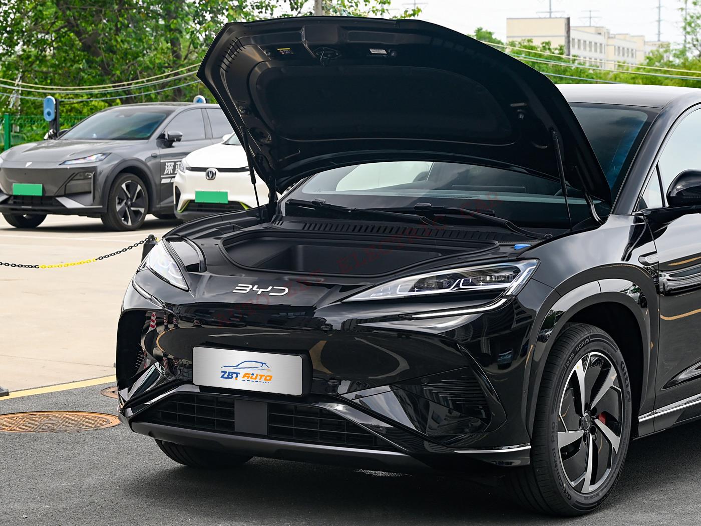 Морской лев 07 X85