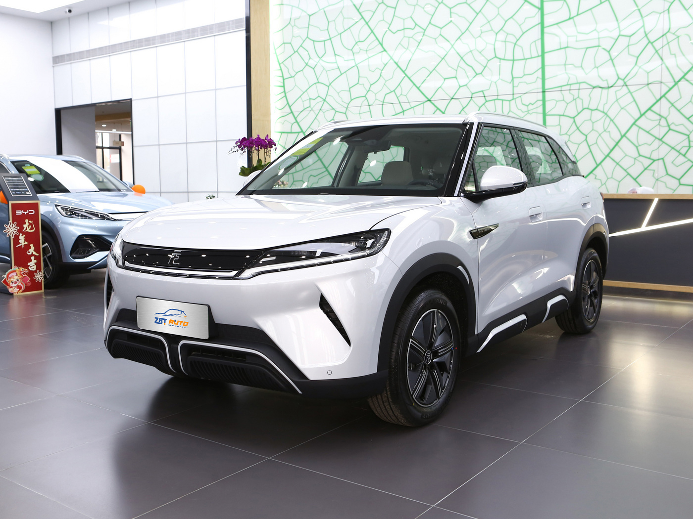 Юань вверх W01