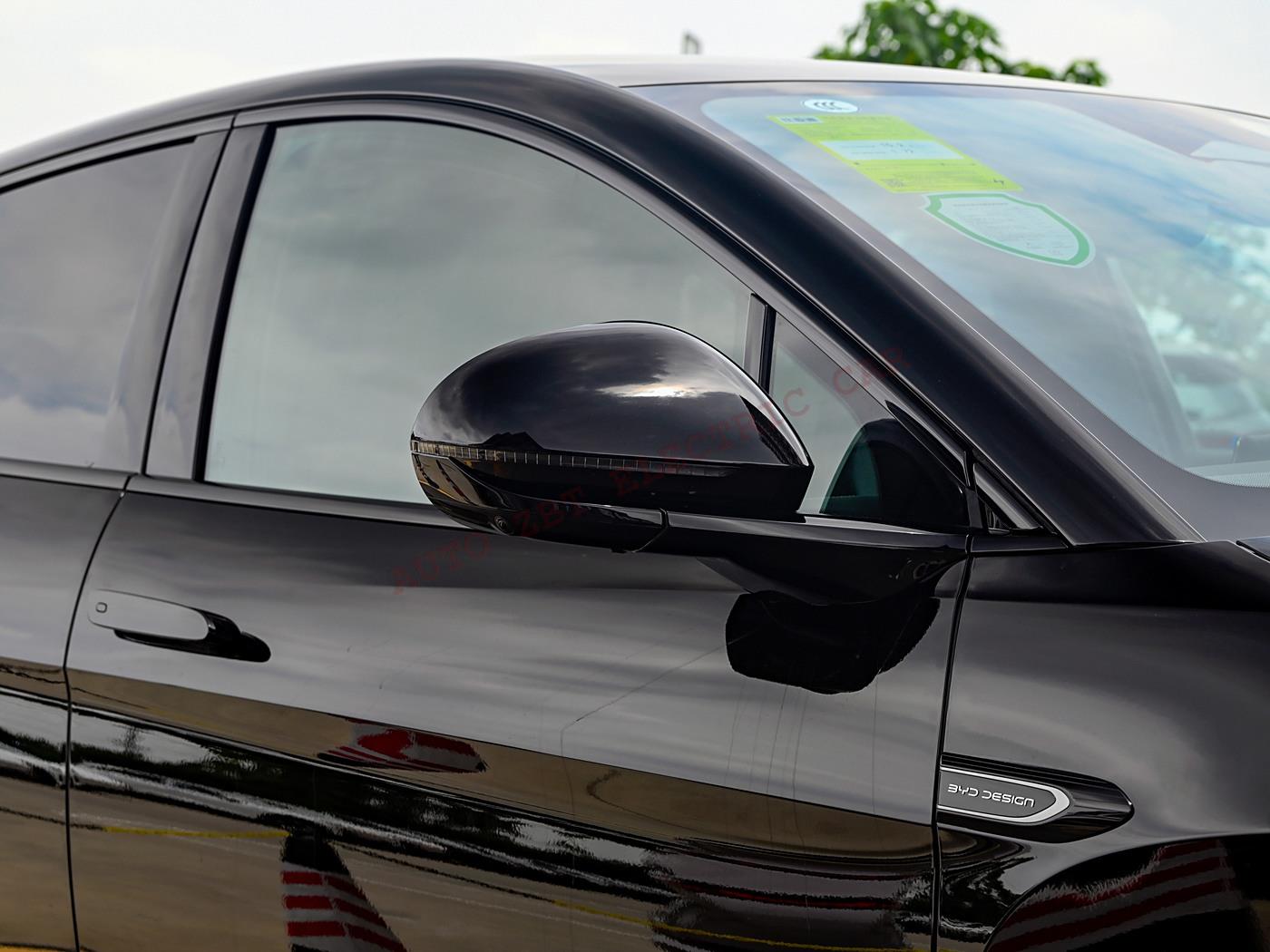 Морской лев 07 X87