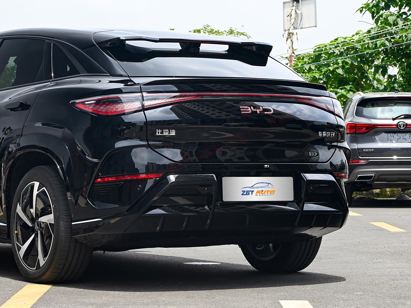 Морской лев 07 X97