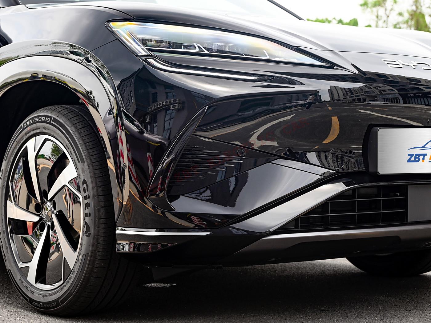 Морской лев 07 X89