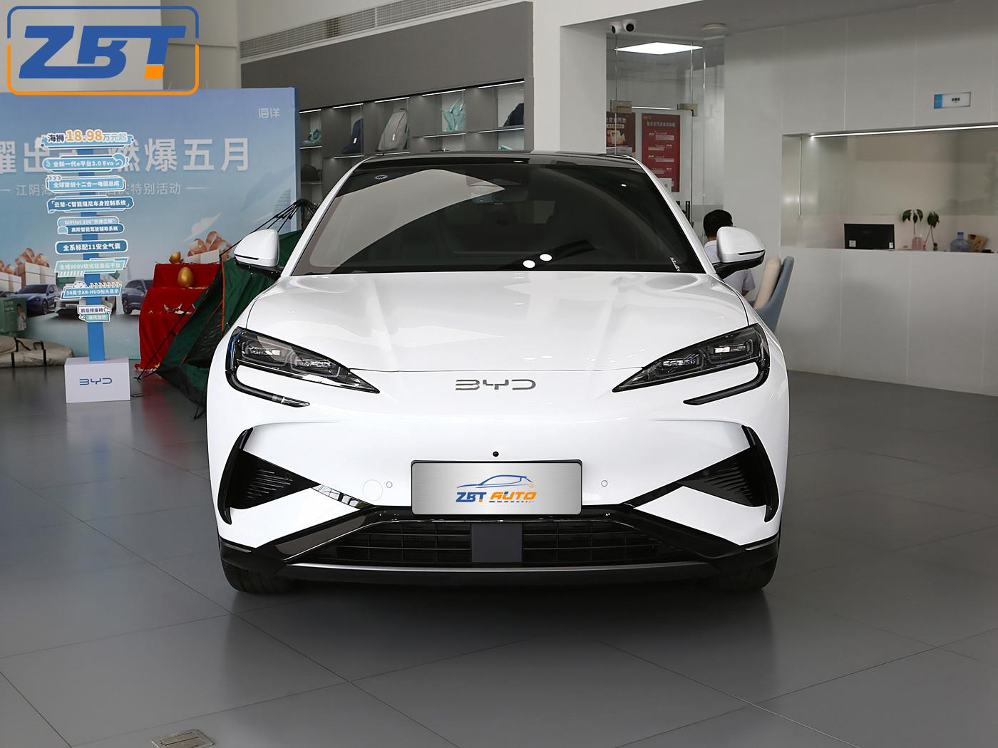 Морской лев 07 W02