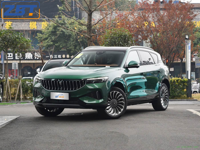 Voyah FREE New Energy Hybrid SUV Цена в США 36 599,00–36 999,00 долларов США.