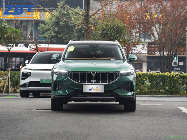 Voyah FREE New Energy Hybrid SUV Цена в США 36 599,00–36 999,00 долларов США.